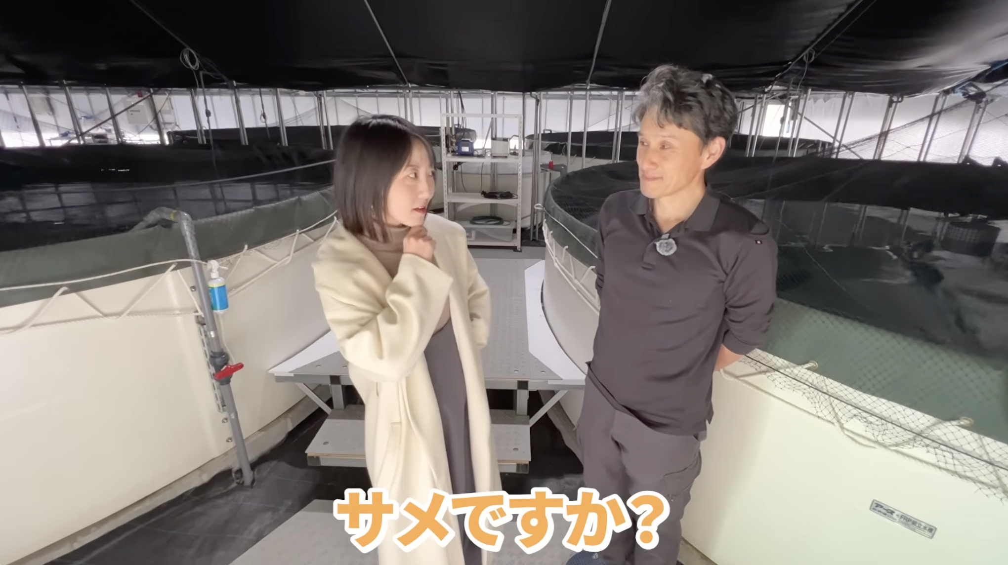 チョウザメの養殖場の様子