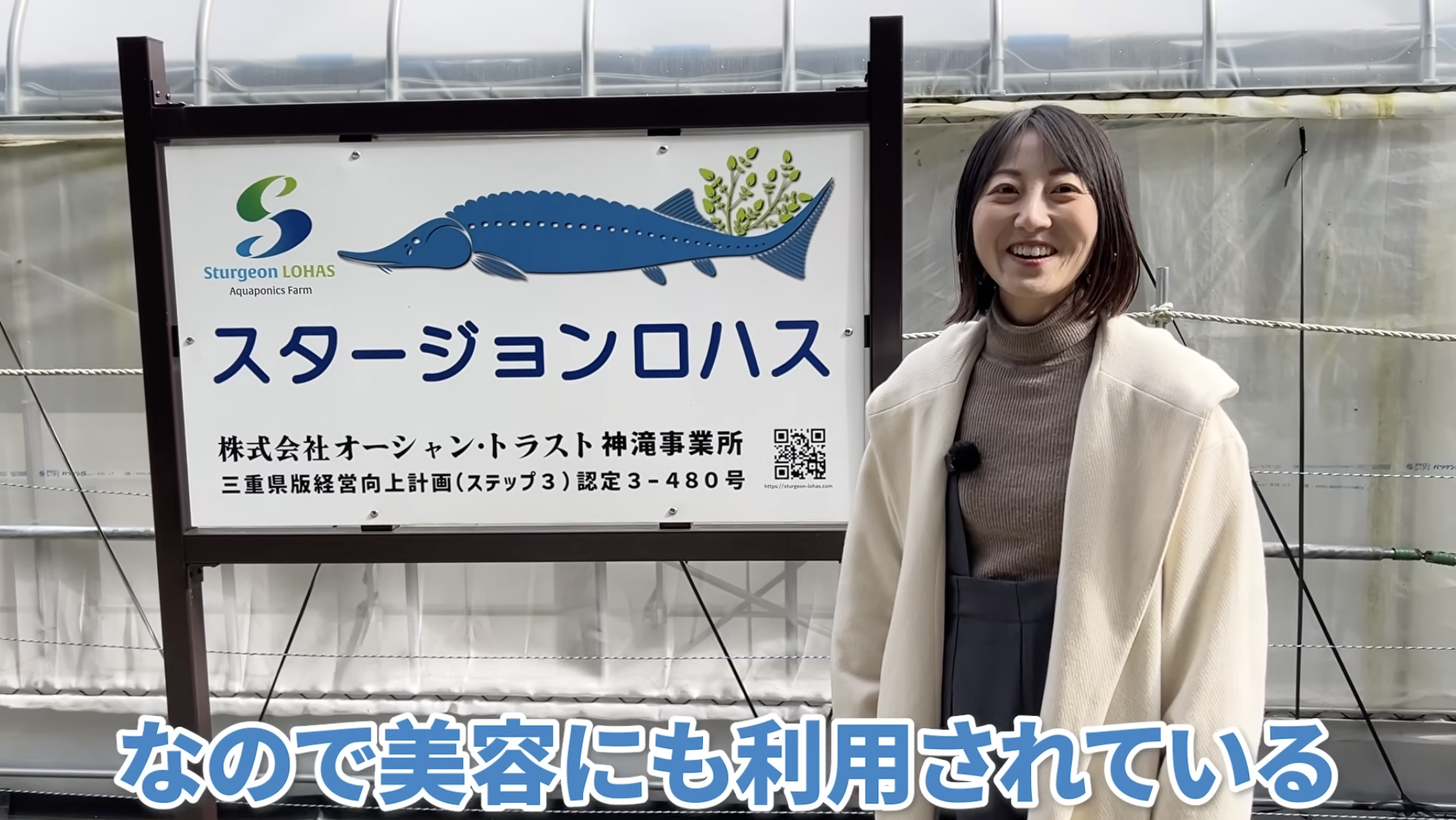 スタージョンロハスさんの商品